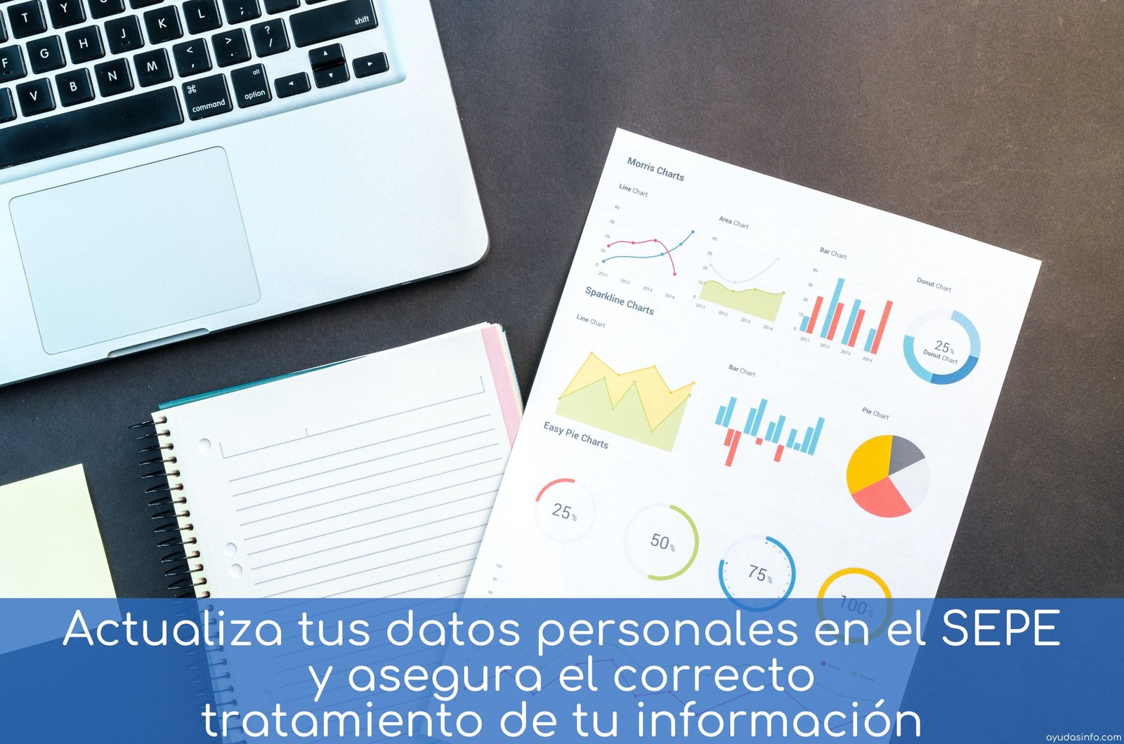 Actualiza Tus Datos Personales En El Sepe Y Asegura El Correcto Tratamiento De Tu Información 7931